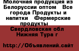 Молочная продукция из Белоруссии оптом - Все города Продукты и напитки » Фермерские продукты   . Свердловская обл.,Нижняя Тура г.